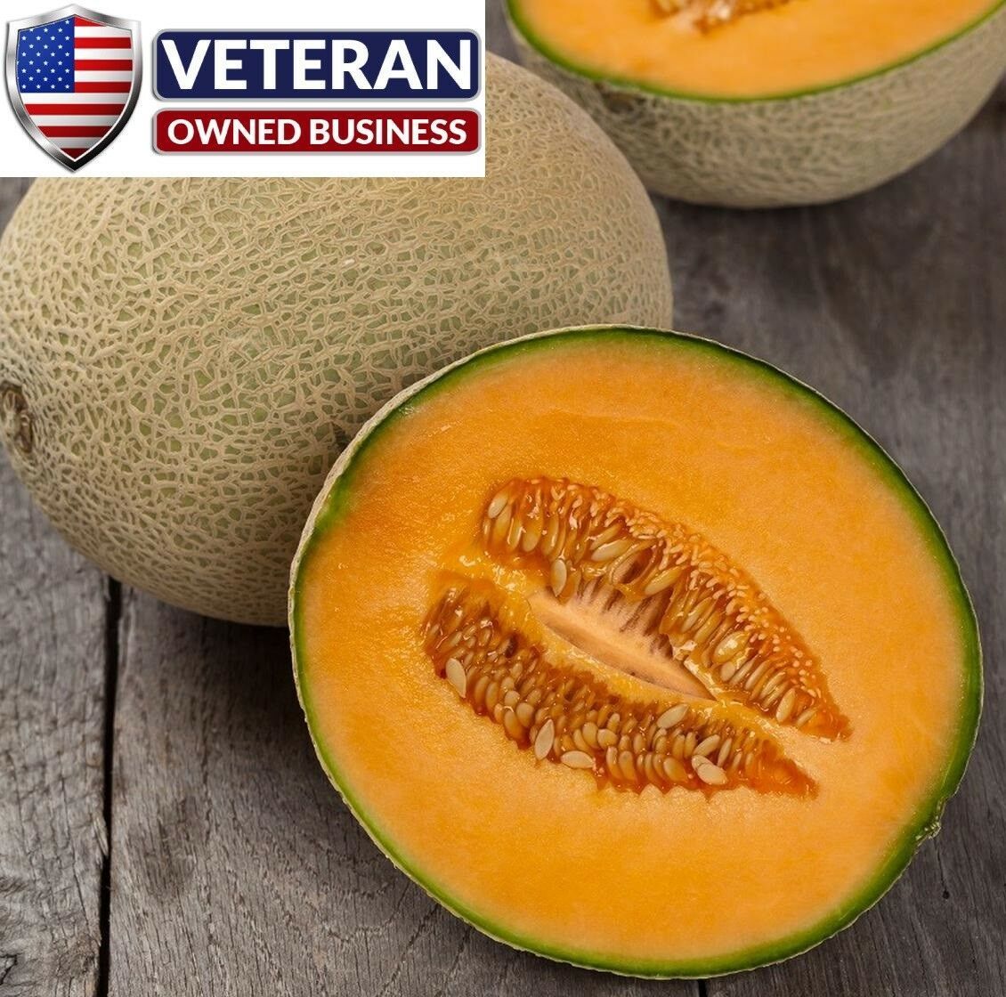 Cantaloupe Hales Best Jumbo 100+ Heirloom Fruit Seeds Plants & Seedlings