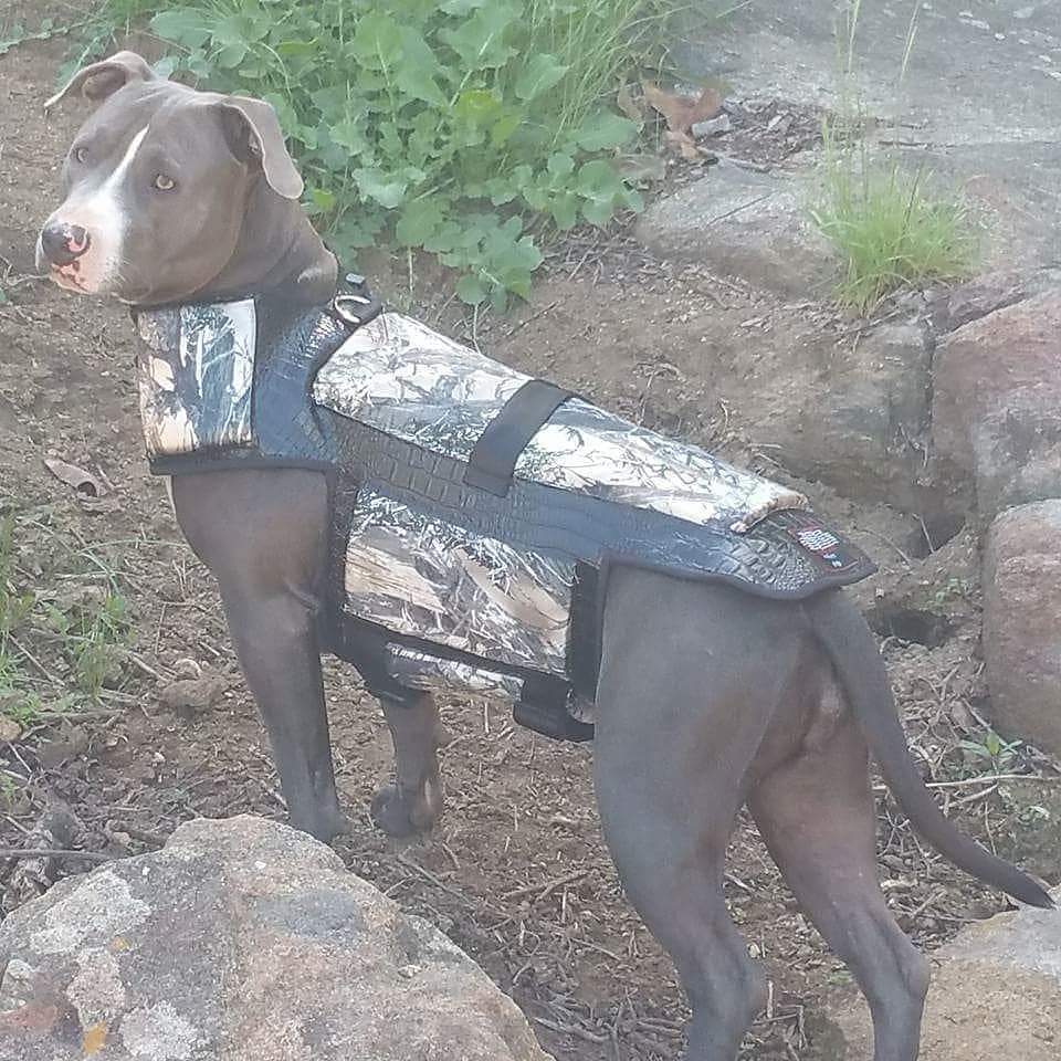 Copy of Hawk and Coyote Deterrent Vest for Dogs (WITHOUT SPIKES