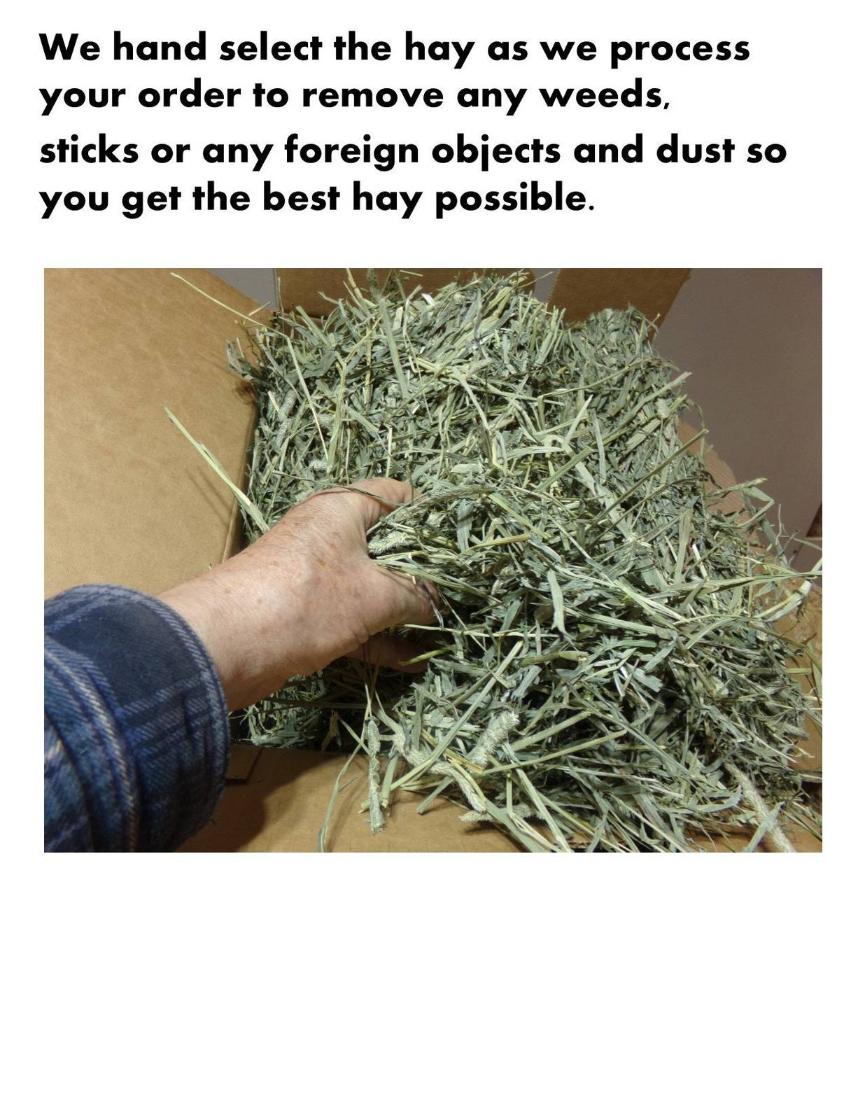 Orchard grass Hay 1 Bale green, clean, fresh and good for all small pets Rabbits Food & Treats