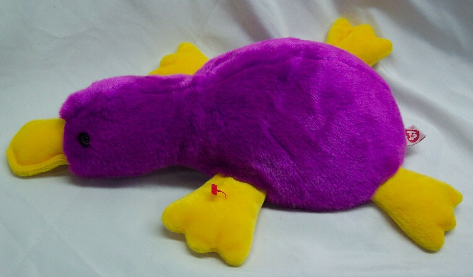 ty beanie platypus
