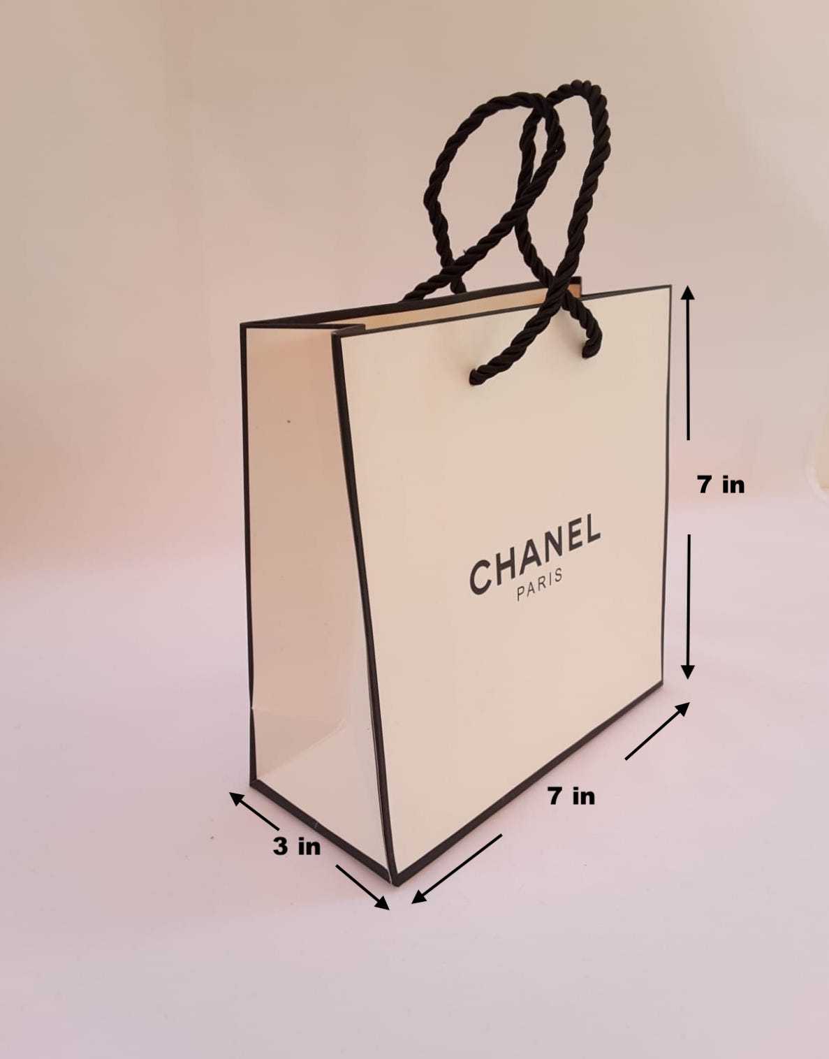 Chanel Gift Paper Bag Travel & Shopping Bags