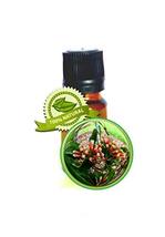 Clove Leaf Essential Oil - Syzygium aromaticum - 10ml (1/3oz) - $19.59