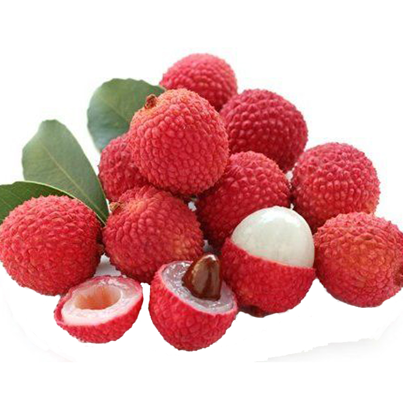 20 Succulent Plants Lychee Lychy Litchi Seeds, Leechee Fruit Tree Seeds ...