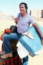 Chevy Chase National Lampoon's Vacation Classic 18x24 Poster - $23.99