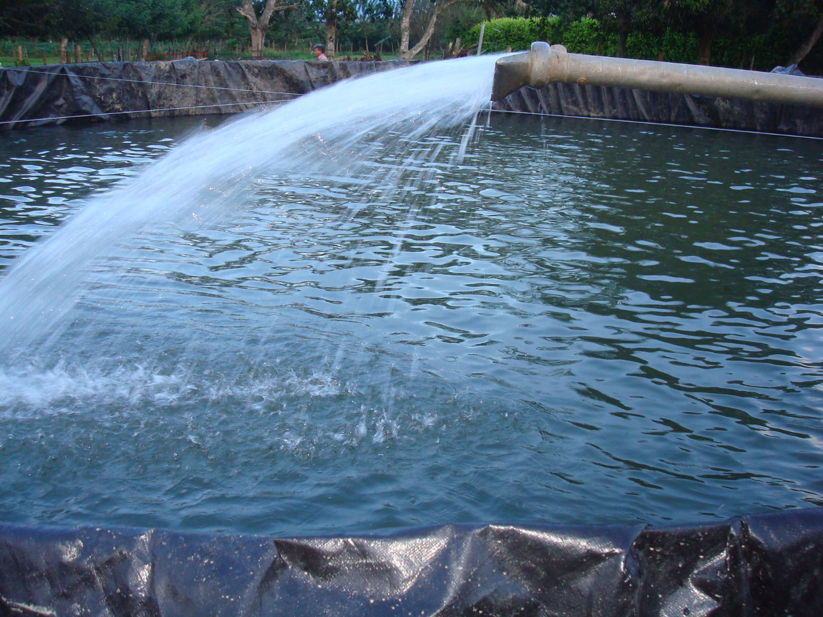 12x50 , tarp,pond liner geofiber, 40 year membrane free shipping, best