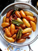 Sago Worms, Superfood, Exotic Food, Beetle insects Thailand 1KG delicacy foods - $36.62