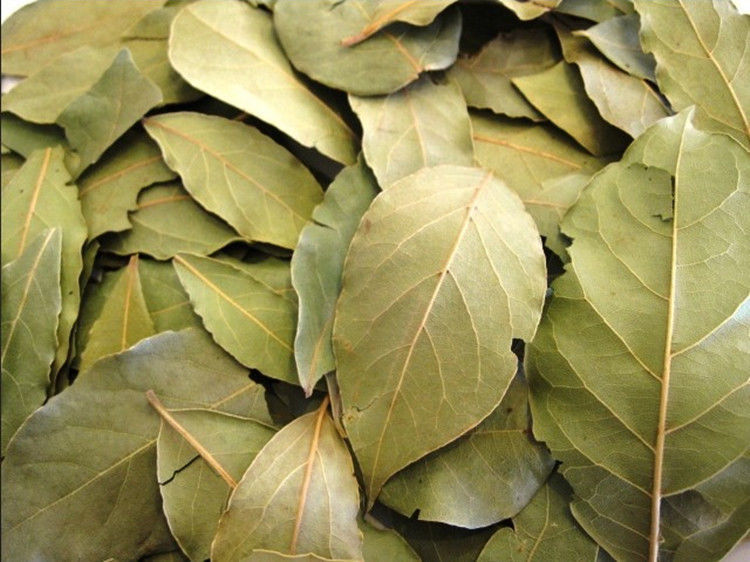 Pimento Leaves 250 Fresh Organic Tropical leaves - International Foods