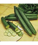 Cucumber, Long Green Improved Seeds, Organic, Non-GMO, 50 Seeds per Pack... - $2.97