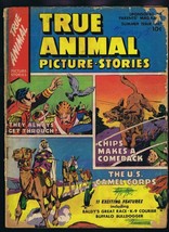 True Animal Picture Stories #2 ORIGINAL Vintage 1947 True Comics Golden Age image 1
