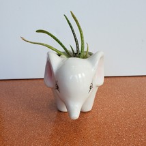 Mini Elephant Planter with Aloe Vera Succulent, Ceramic Animal Pot, Live Plant image 3