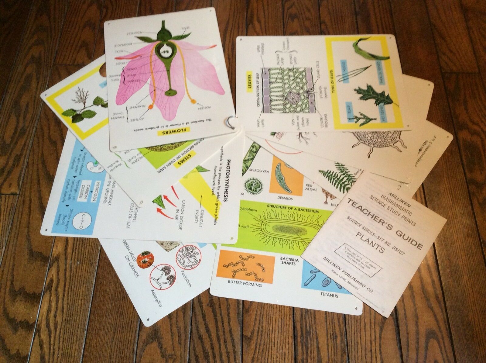 39-vintage-milliken-publishing-co-science-charts-13-x-18-colorful