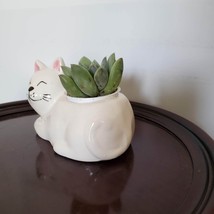 Cat Animal Planter with Succulent, live house plant in ceramic white Kitten Pot image 3