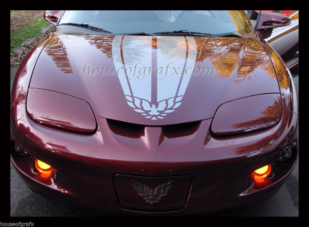 Universal Hood Stripe Bird Phoenix Decal decals graphic GT Pontiac ...