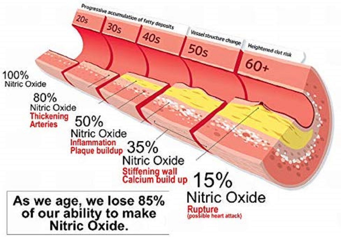 Cardio Miracle (TM) The Complete Nitric Oxide Solution 60 Servings
