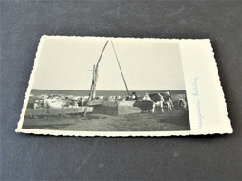 Hungarian Steppe Female Cattle graze in the field- Unposted 1970s Kodak ... - $7.50