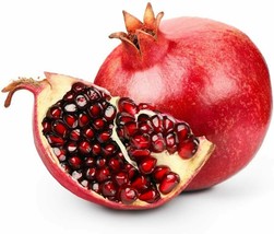 Hardy Pomegranate Tree   -    Live Plant - 1 Gallon image 1