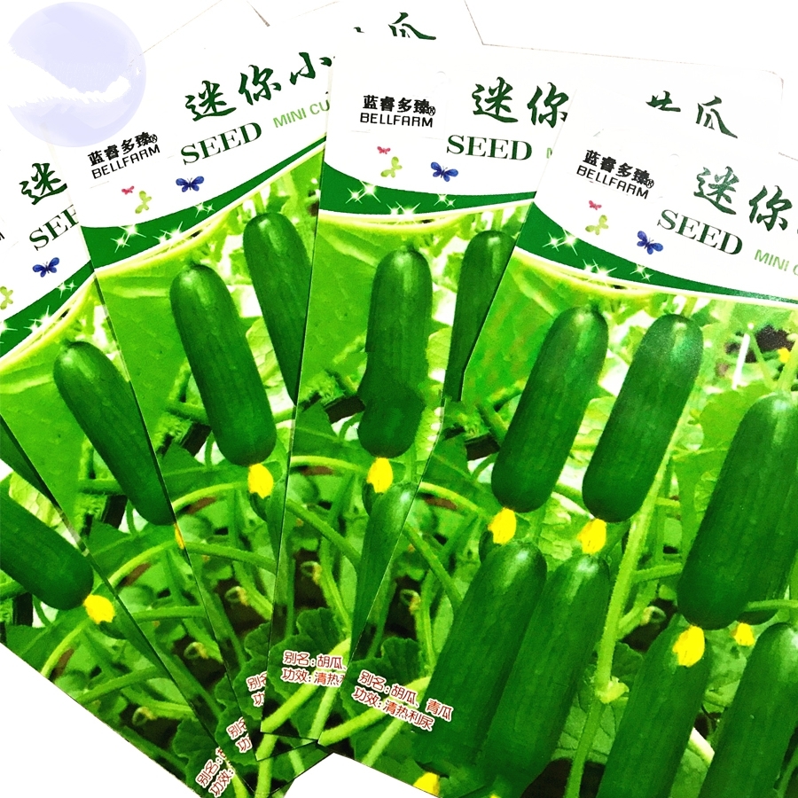 10 seed, 5 pack Mini Green Cucumber Vegetable Seeds, healthy Vegetable