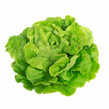 SHIP FROM US TOM THUMB LETTUCE BUTTERHEAD SEEDS- 8 Oz SEEDS PACKET - TM11 - $65.28