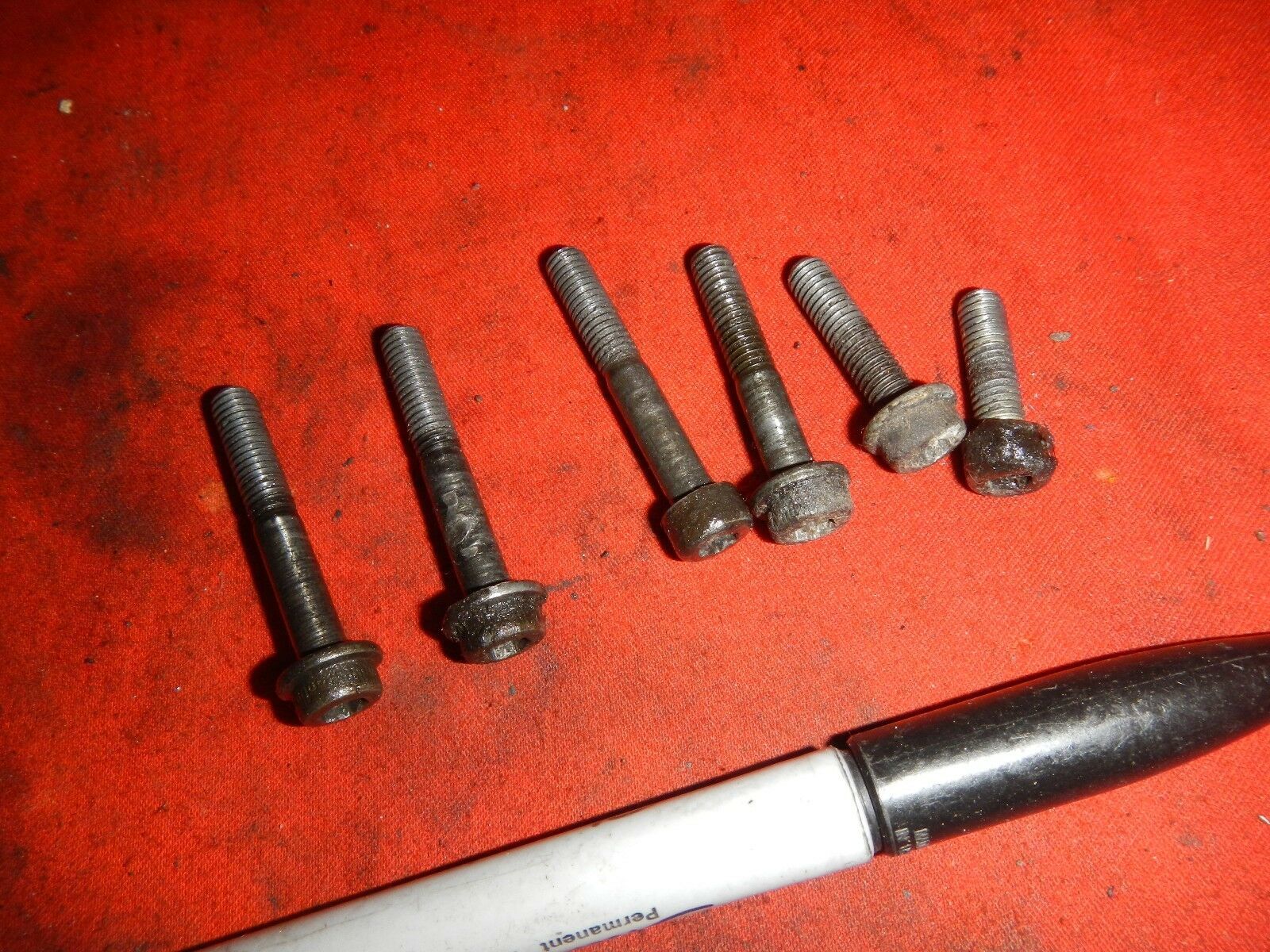 STATOR COVER BOLTS 1983 HONDA XR500R XR500 XR 500R 500 R