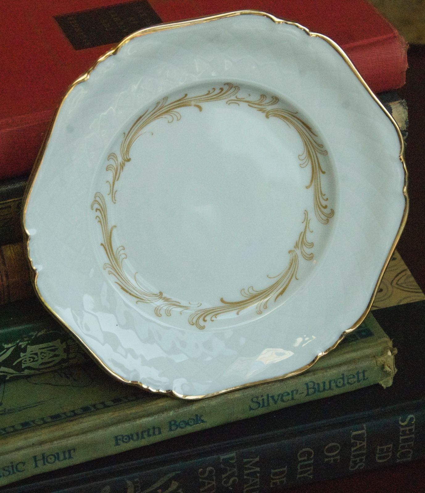 Royal Princess Fine China Bavaria Vintage ROYAL BAVARIA Germany Fine