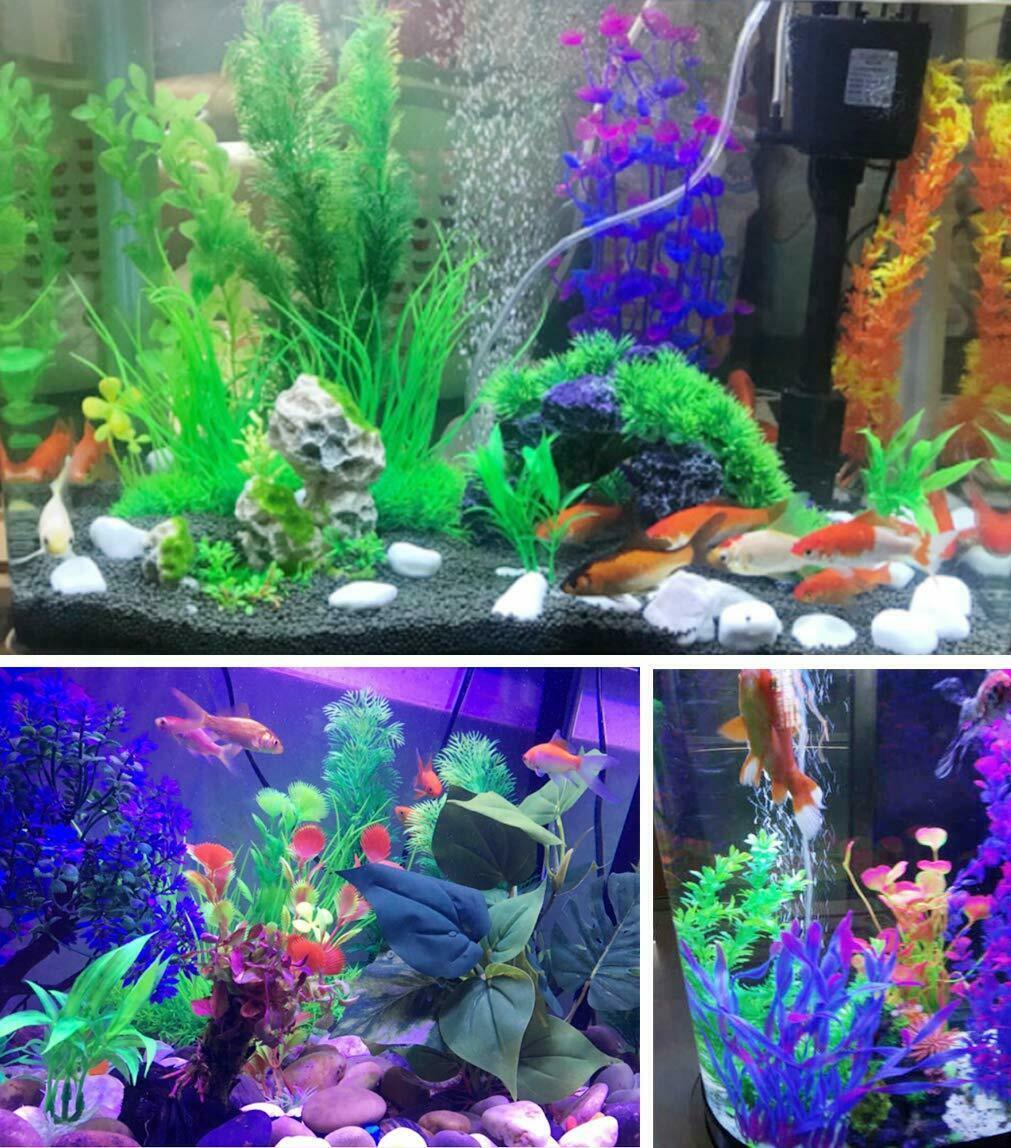 modern realistic fish tank plants