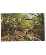 Vintage Postcard Sunken Gardens Florida Couple on Walkway to Gift Shop U... - $6.92