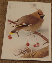 BRAND NEW Nice Merry Christmas Greeting Card, GREAT CONDITION - $2.96