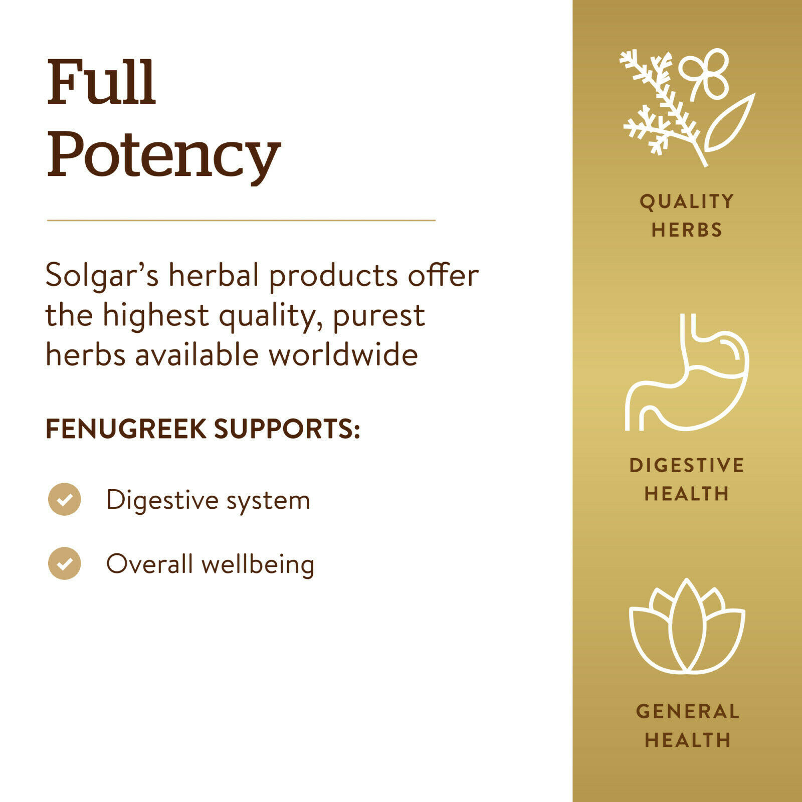 Solgar Full Potency Fenugreek 100 Vegetable Capsules Vitamins