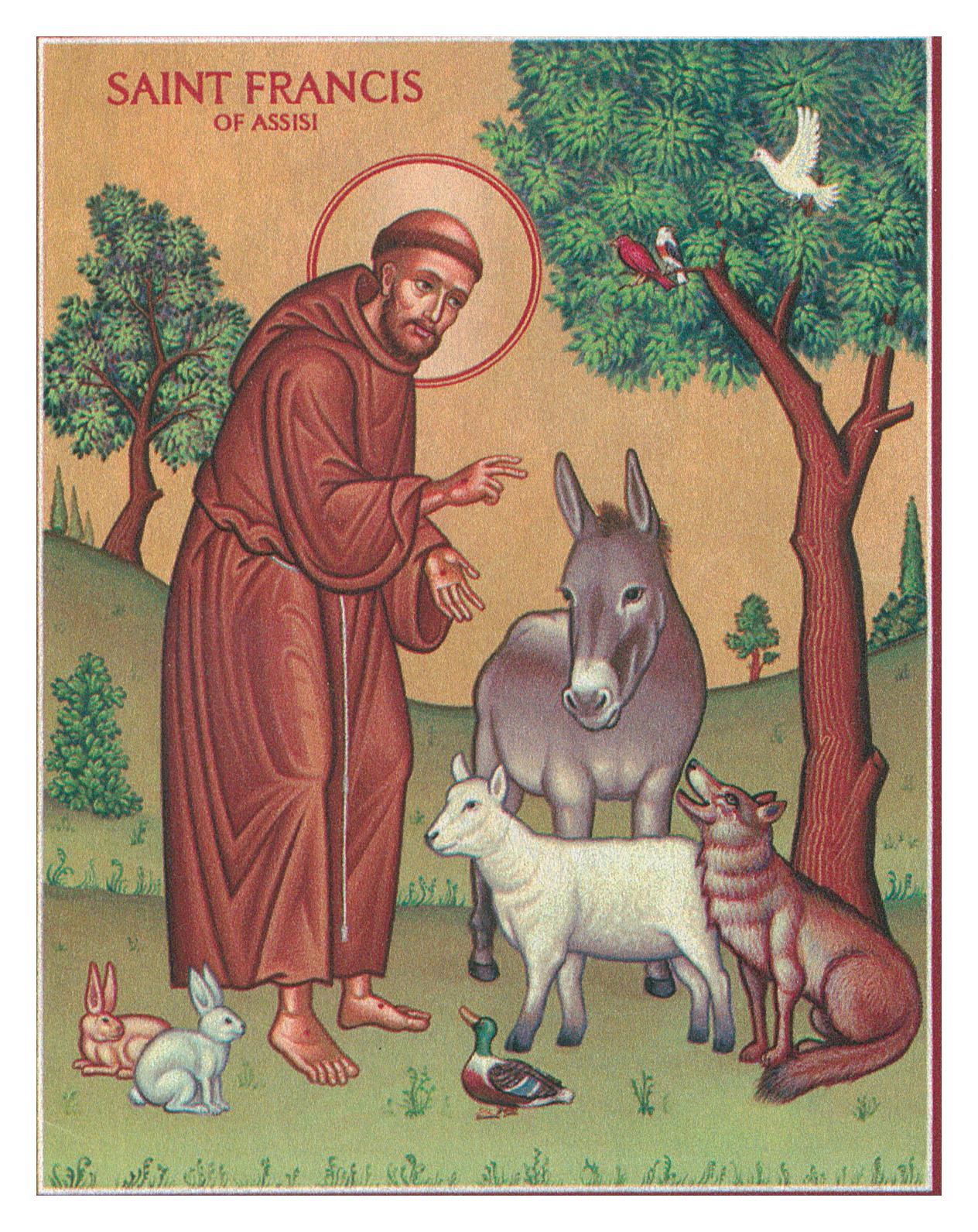 Saint francis   the animals