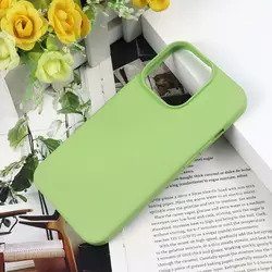 Primary image for iPhone 13 pro max /13 pro /13 – iPhone 12 pro / 12-  green tea color- case