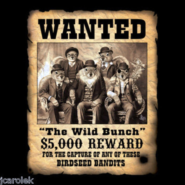 Bunch перевод. The Wild bunch Постер. Wild bunch Кинокомпания. Wanted белка. The Wild bunch куртка.