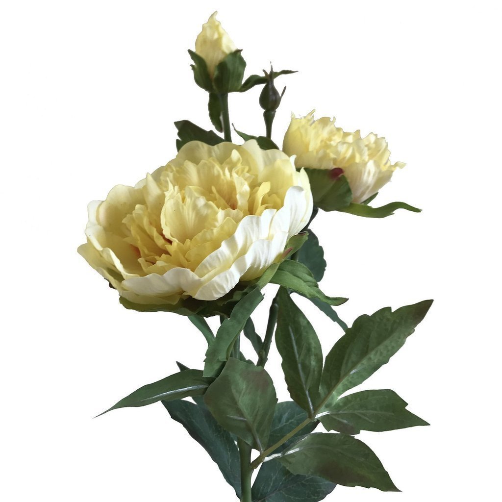 Yellow Peony Stem 3 Bulb Real Touch Artificial Flowers 30" Floral Decor