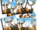 57 thumb155 crop