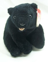 Ty Beanie Baby Cinders The Bear 6th Generation Hang Tag 2000 for sale online