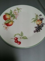 Ashberry by Royal Doulton 8 Inch Salad Plate - $19.00