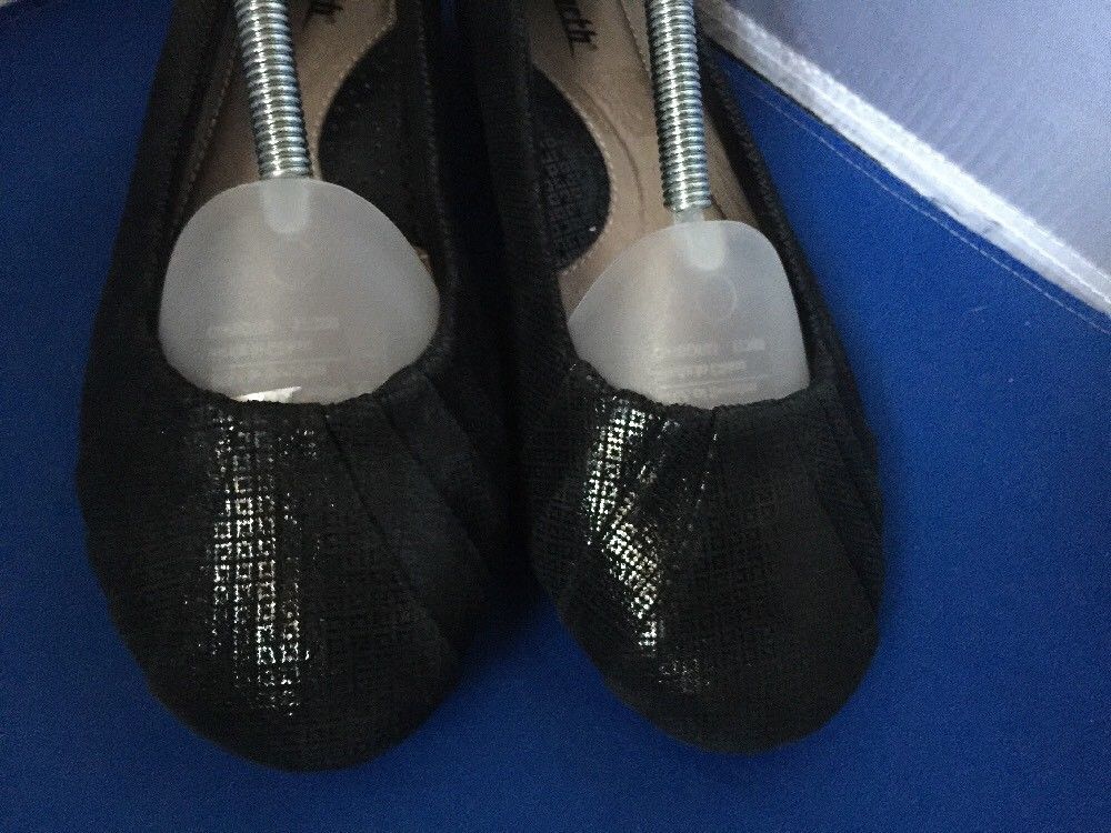 earth bellwether flats