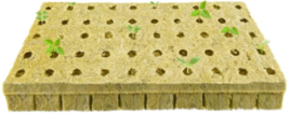 Outdoors Rockwool Grow Seed Starter Plugs - 1 x 1 x 1.5 inch - 50 Cubes image 7