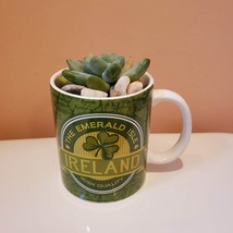 Ireland Mug with Succulent, St Patricks Day Decor, Irish mug garden