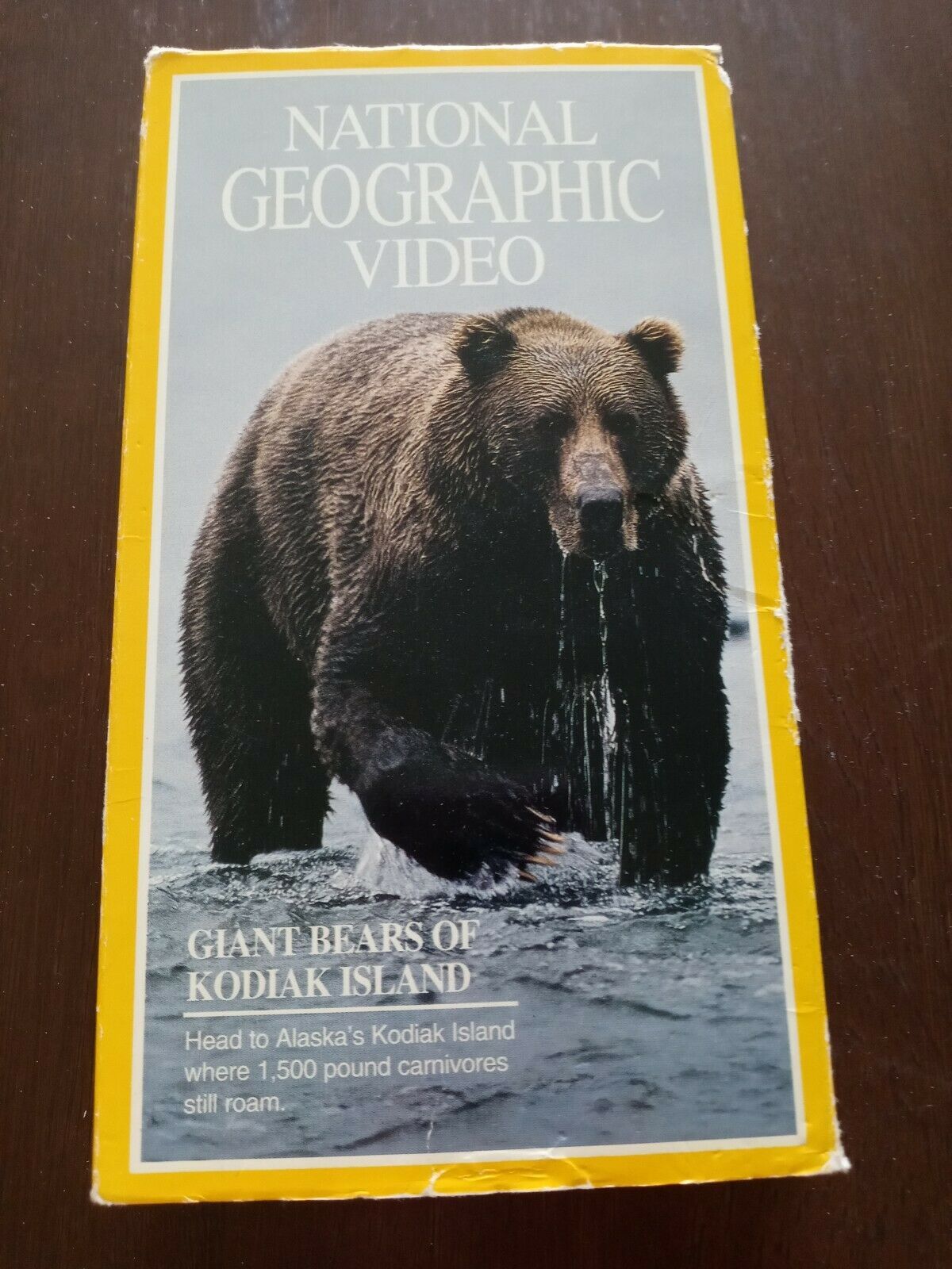 National Geographic Video Giant Bears Of Kodiak Island Educational VHS ...