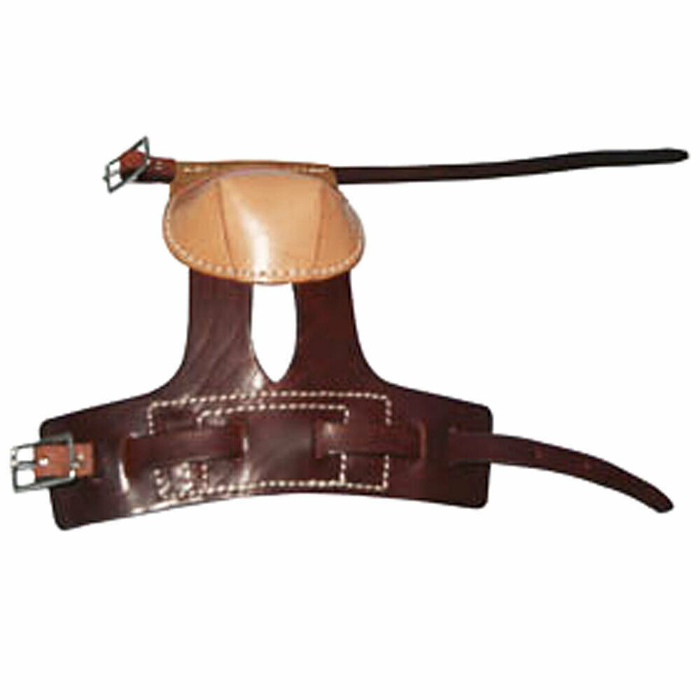 U13BG NEW HILASON HORSE LEG PROTECTION LATIGO LEATHER SKID BOOTS