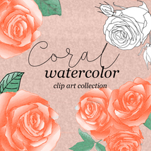 Coral Watercolor Rose Hand Drawn Collection/PNG Clip Art/Sublimation/Com... - $4.99