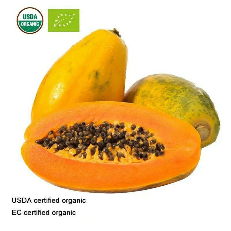 Usda And Ec Certified Organic Pawpaw Fruit Powder Papaya Extract 101