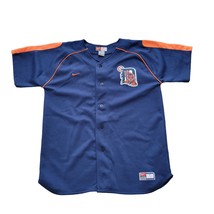 Team-Issued Detroit Tigers #20 Pink Nike Dri Fit Shirt