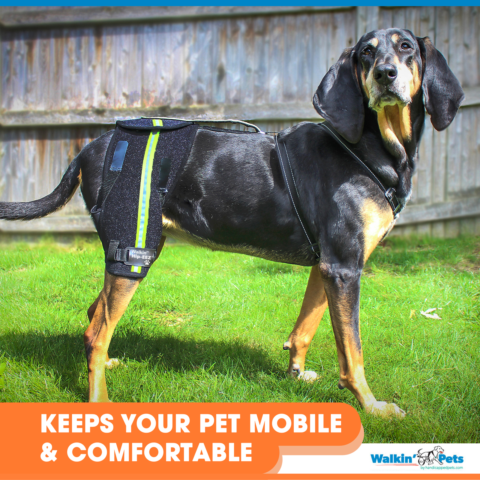 HipEEZ Dog Hip Brace Support Harness System Provides Joint Support