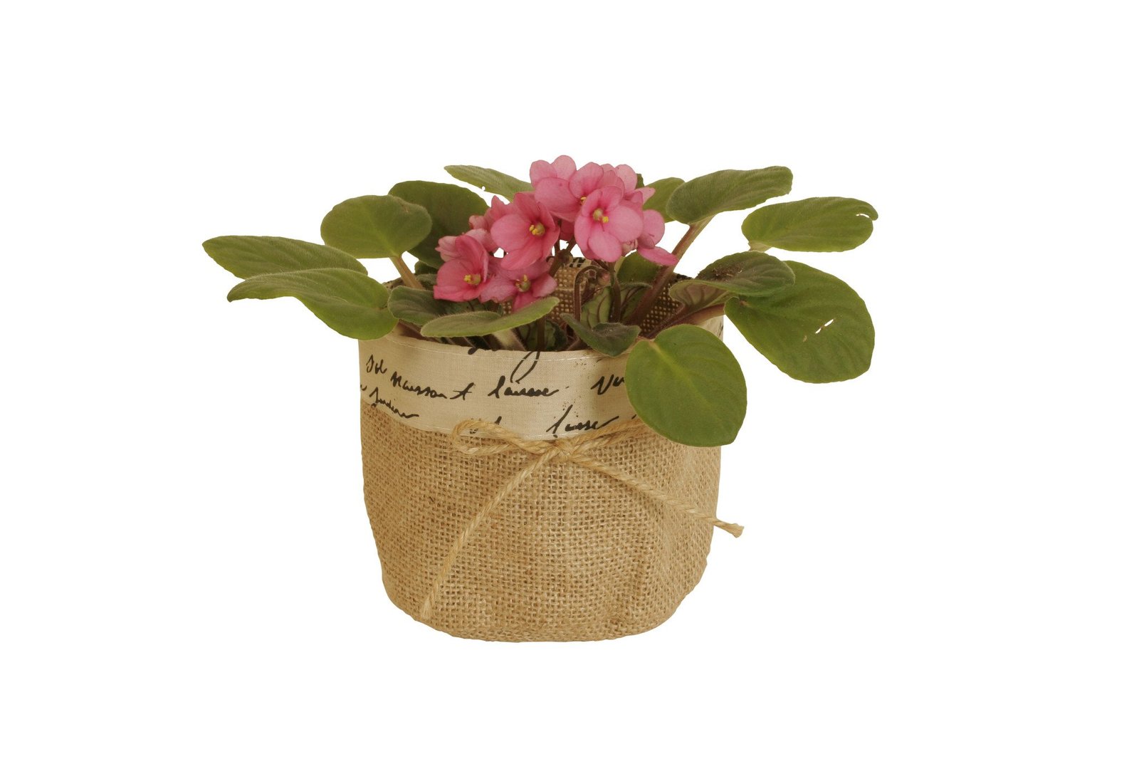 Set of 8 5" Burlap Pot Covers Planters, Pots & Window Boxes