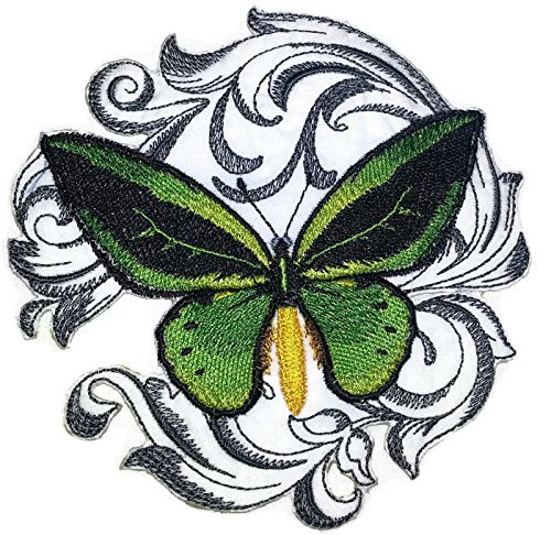 BeyondVision Custom and Unique Amazing Colorful Butterflies[ Common Green Birdwi