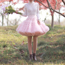 Blush Pink A-line Knee Length Tulle Skirt High Waisted Blush Puffy Holiday Skirt image 1