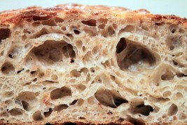 sourdough bread starter yeast from san francisco wharf dry culture active - $6.50