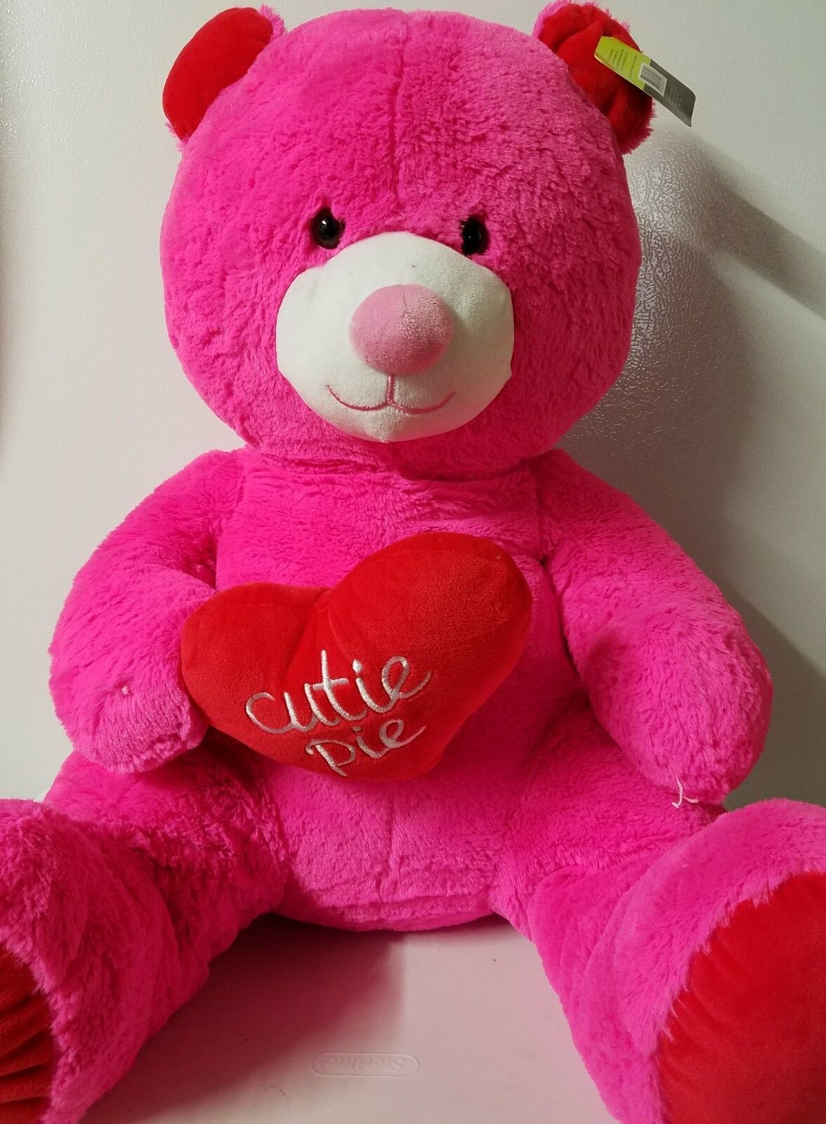 animal adventure valentine bear