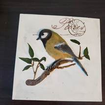 Vintage Bird Plaque, Finch Great Tit Bird, 3D TII Collections resin bird plaque image 2